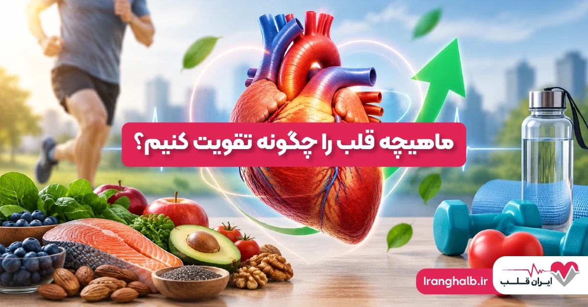 ماهیچه قلب را چگونه تقویت کنیم؟ | تقویت ماهیچه قلب