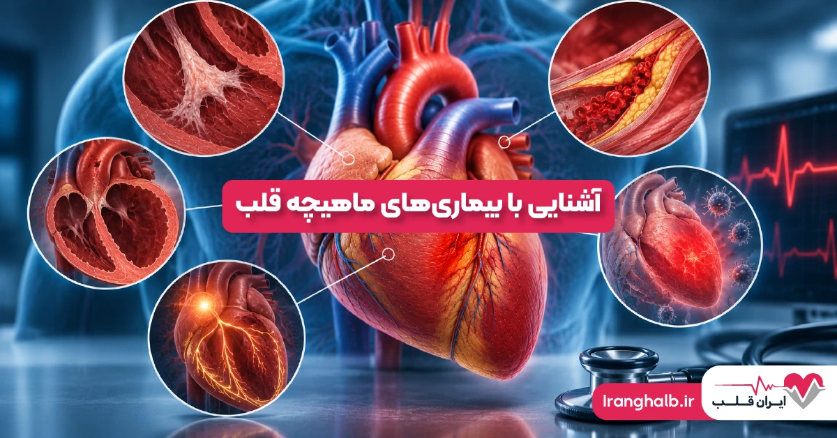 آشنایی با بیماری های ماهیچه قلب