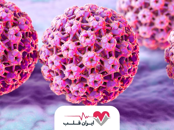 HPV چیست؟ | آیا ویروس اچ پی وی قابل درمان است؟