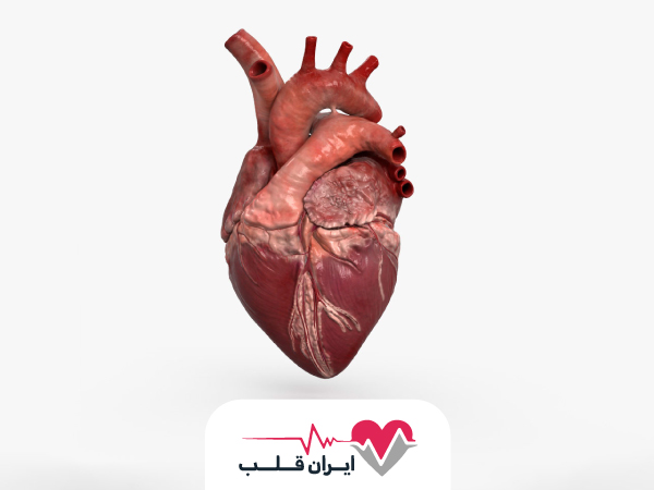 عفونت قلبی چیست و چگونه به وجود می آید عفونت قلبی؟