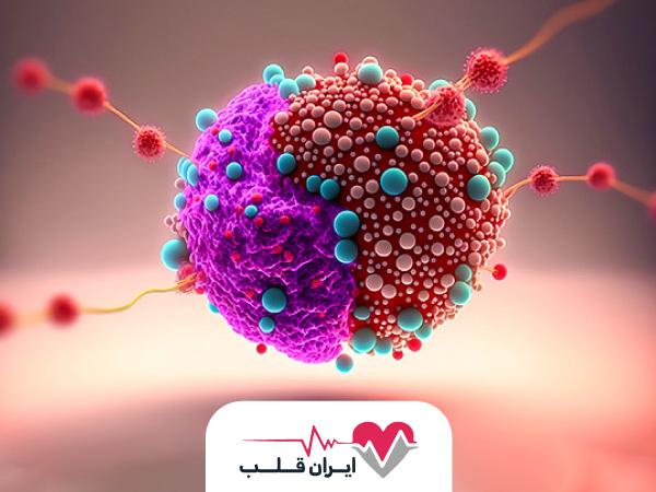 سرطان چیست و نکاتی که باید درباره سرطان بدانید