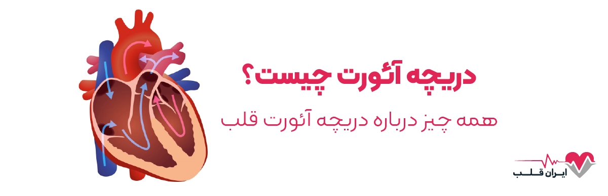 دریچه آئورت چیست؟ | همه چیز درباره دریچه آئورت قلب