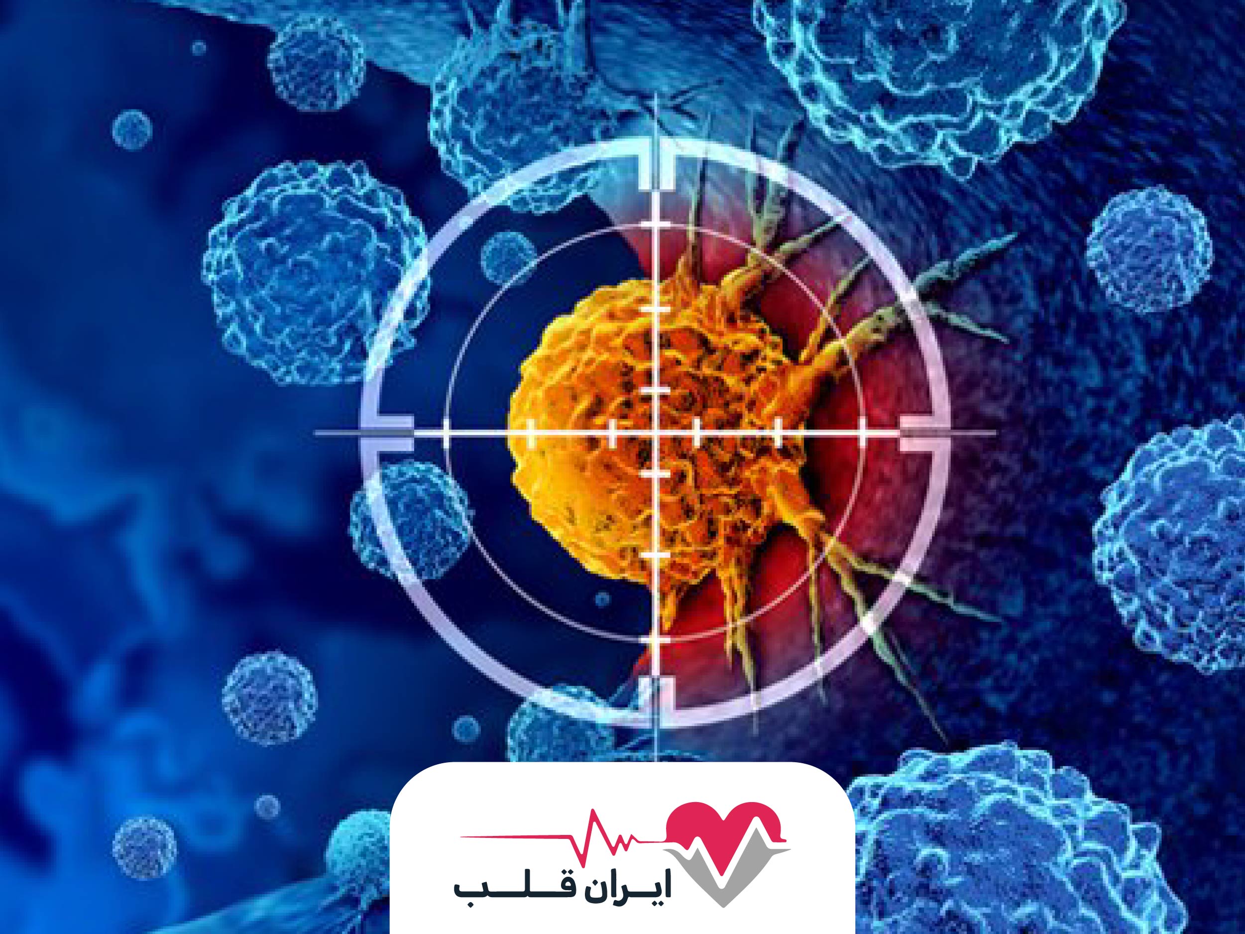 ایمونوتراپی چیست [ جدیدترین درمان برای سرطان ]