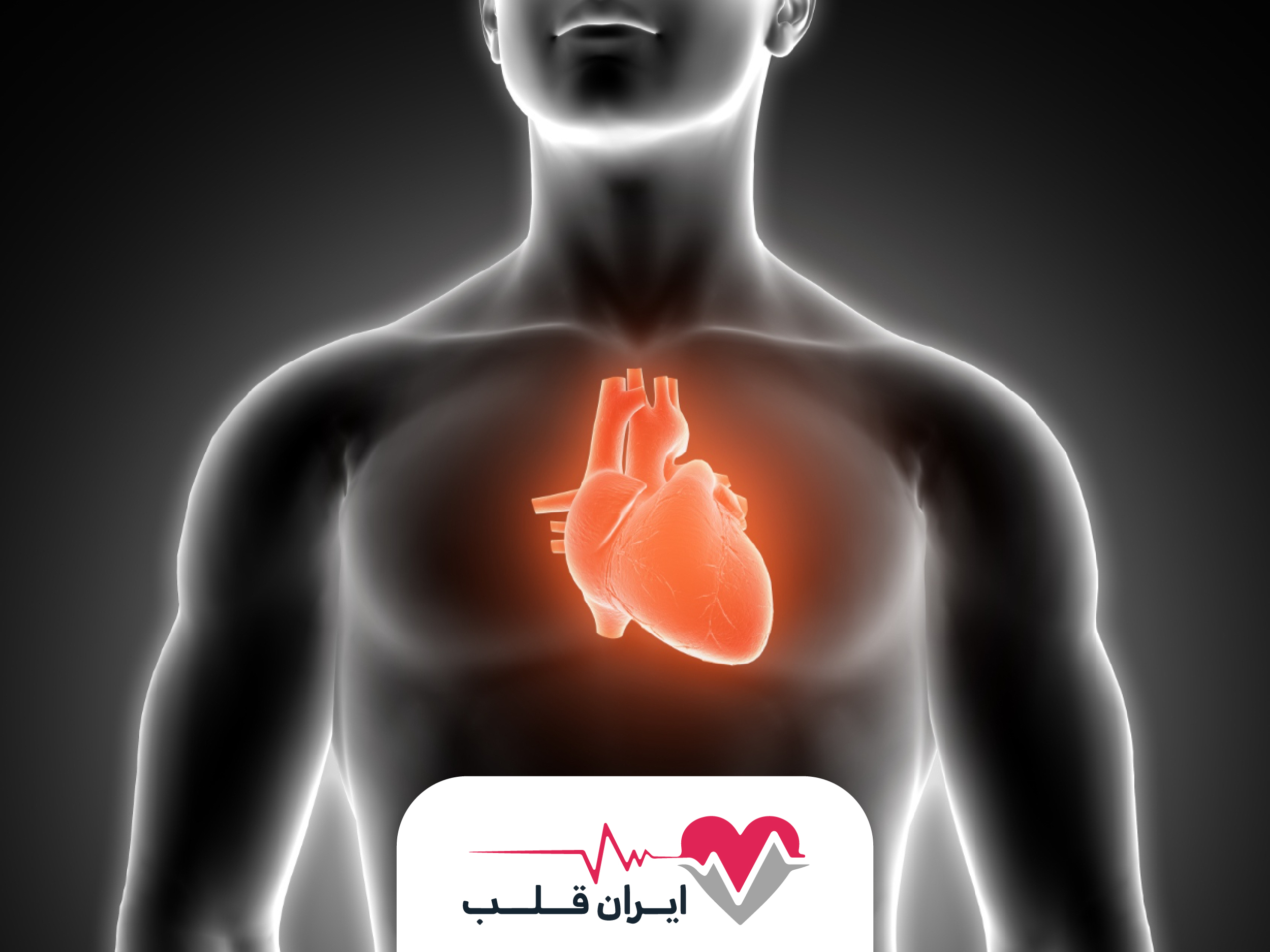 التهاب قلب چیست یا میوکاردیت چیست؟