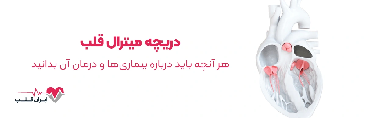 دریچه میترال قلب | هر آنچه باید درباره بیماری‌ها و درمان آن بدانید