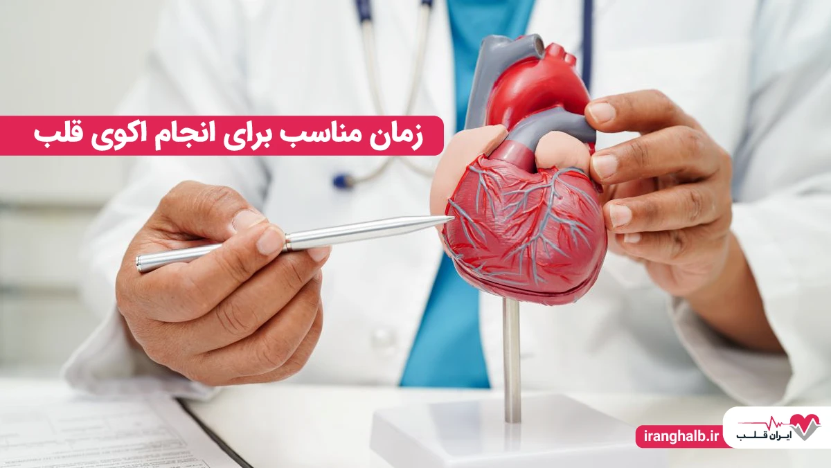 زمان مناسب برای انجام اکوی قلب زمان مناسب برای انجام اکوی قلب
