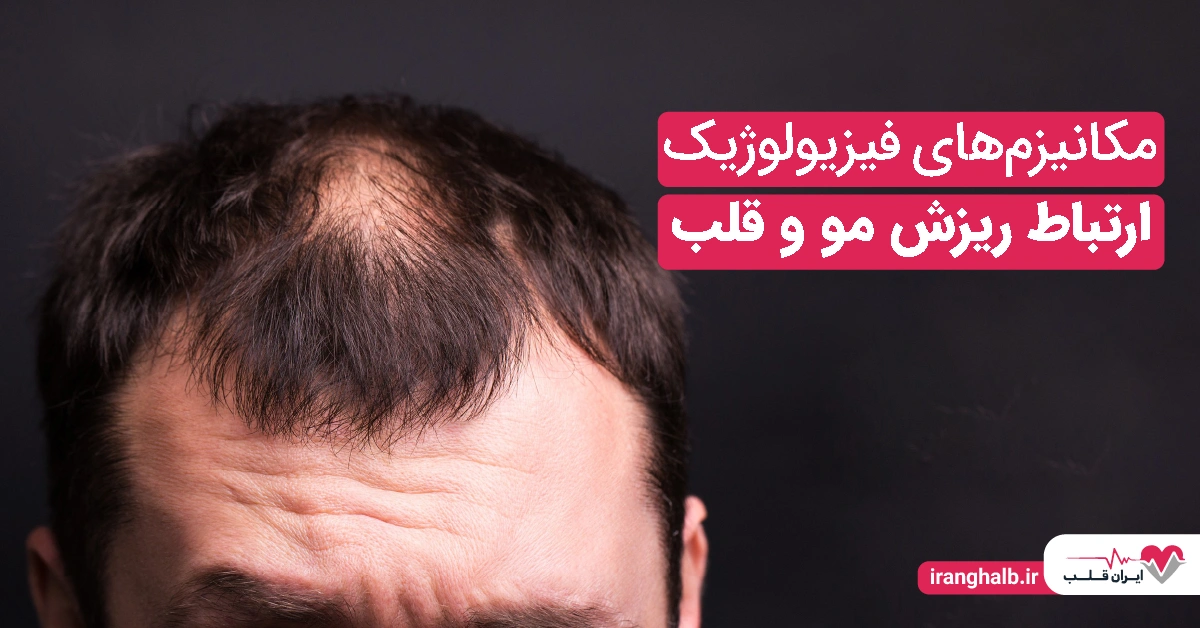 مکانیزمهای فیزیولوژیک ارتباط ریزش مو و قلب مکانیزمهای فیزیولوژیک ارتباط ریزش مو و قلب