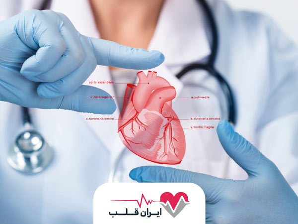 کاردیولوژی چست و کاردیولوژی قلب چه کاربردی دارد؟
