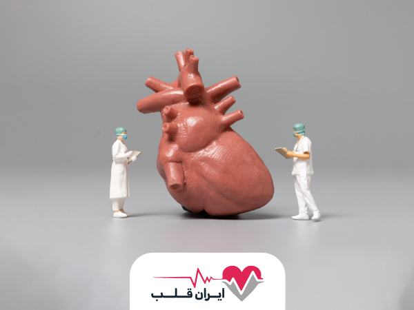 ماهیچه قلب چیست و همه چیز درباره ماهیچه قلب!