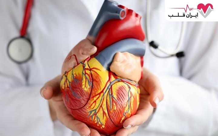 چکاب قلب و عروق 