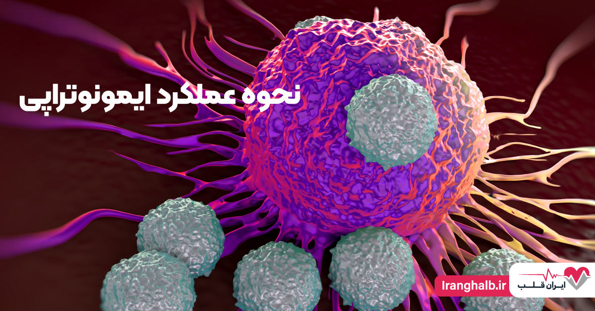 نحوه عملکرد ایمونوتراپی نحوه عملکرد ایمونوتراپی