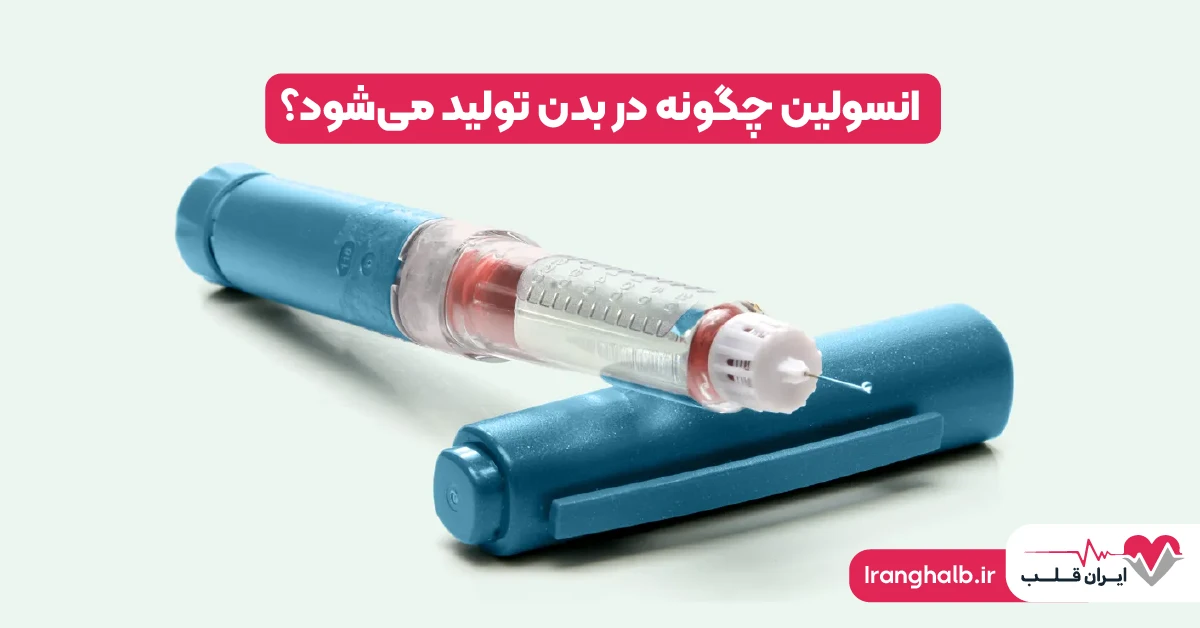 انسولین چه نقشی در بدن دارد؟