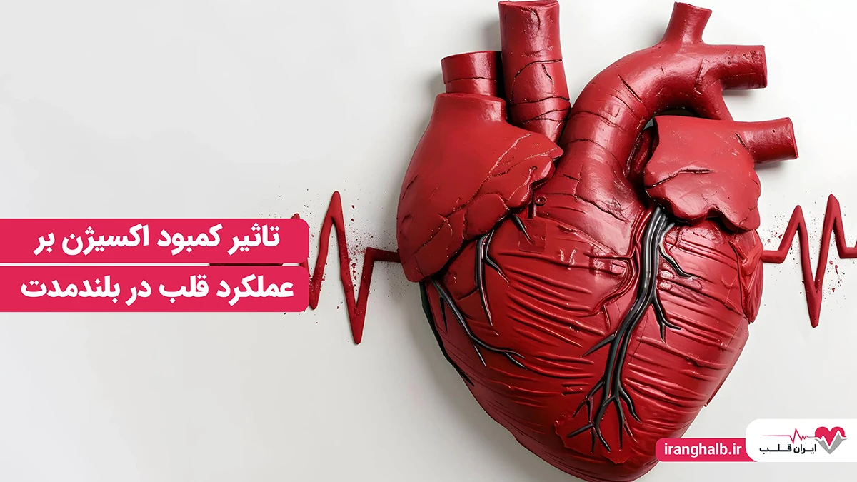 تاثیر کمبود اکسیژن بر عملکرد قلب در بلندمدت تاثیر کمبود اکسیژن بر عملکرد قلب در بلندمدت