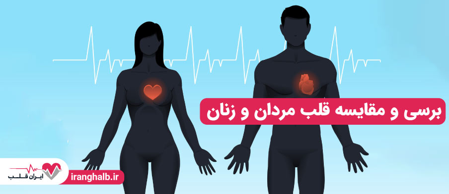 برسی و مقایسه قلب مردان و زنان