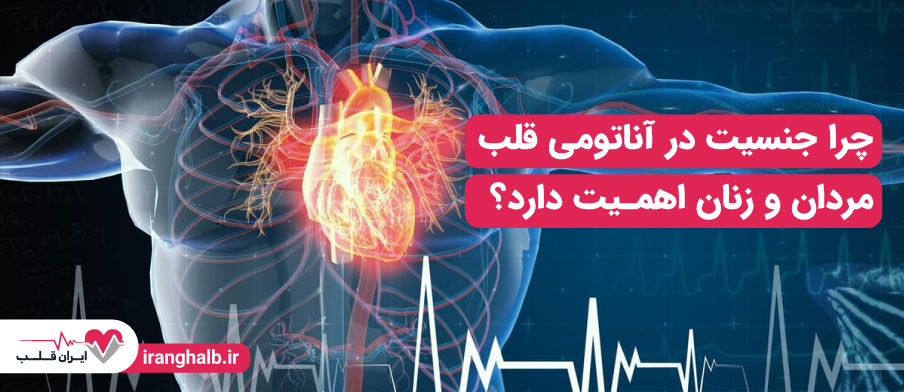 چرا جنسیت در آناتومی قلب مردان و زنان اهمیت دارد؟