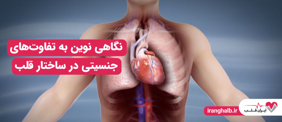 نگاهی نوین به تفاوتهای جنسیتی در ساختار قلب