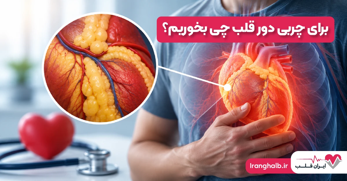 برای چربی دور قلب چی بخوریم؟ برای چربی دور قلب چی بخوریم؟