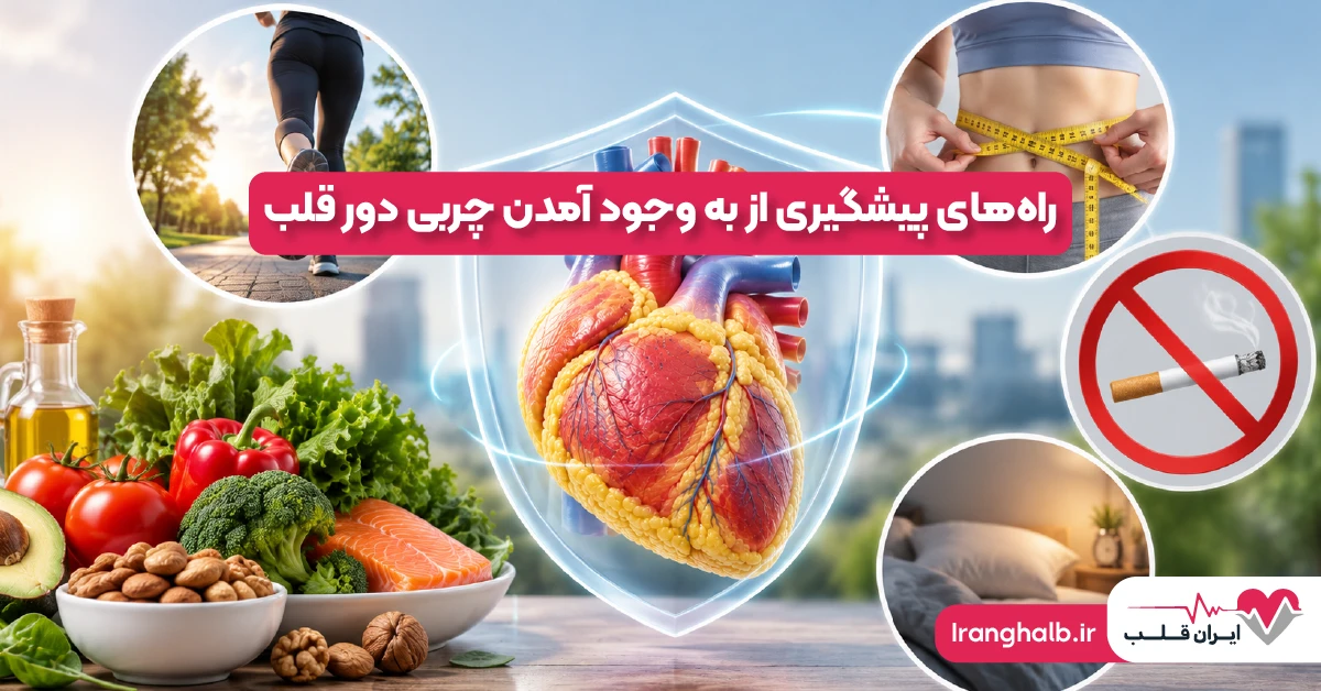 راه های پیشگیری از به وجود آمدن چربی دور قلب چیست؟ راه های پیشگیری از به وجود آمدن چربی دور قلب چیست؟
